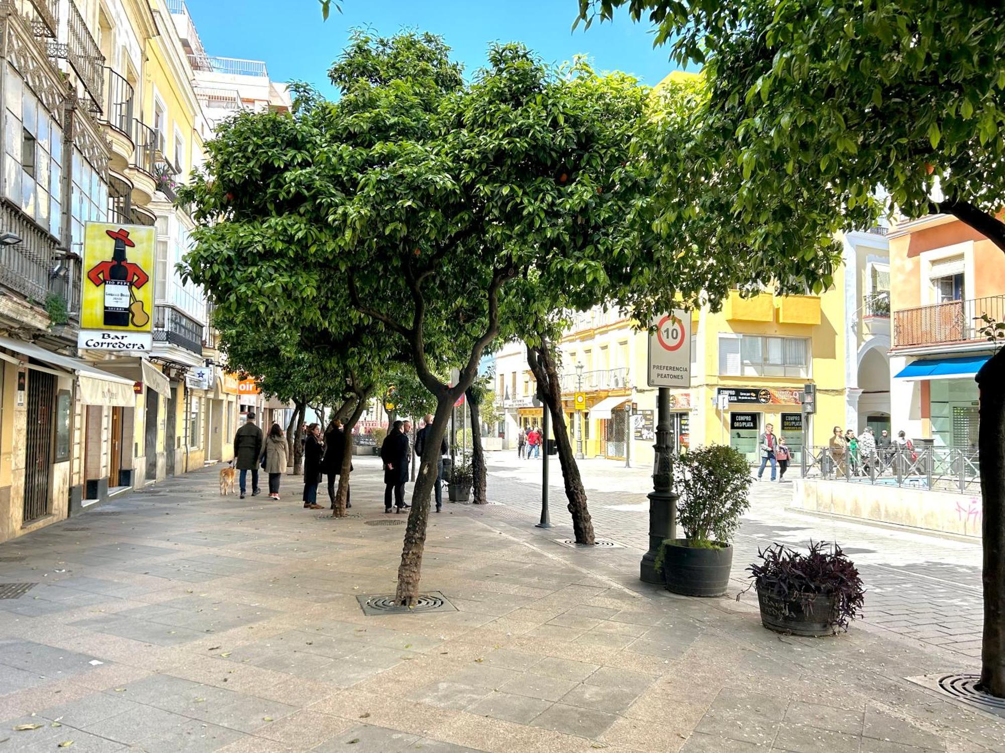Alojanomadas Jerez Centro Appartement *
